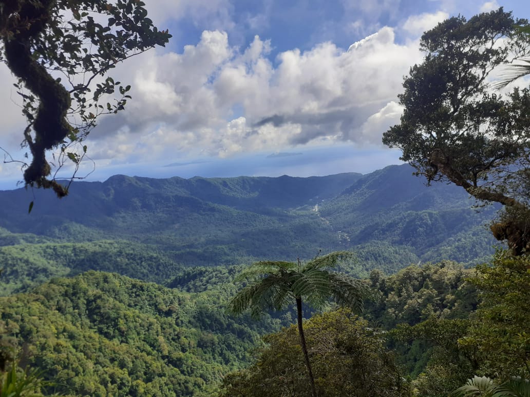 Thumbnail Pagkage Watching Bird in Sahendaruman Montain 3 Days 2 night